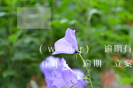 網(wǎng)貸逾期有權利登報嗎(網(wǎng)貸逾期會立案嗎)