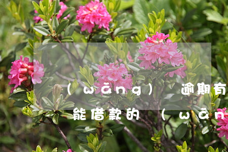 網(wǎng)貸逾期有沒有必要接(有逾期還能借款的網(wǎng)貸)