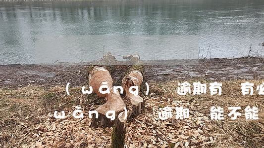 網(wǎng)貸逾期有沒有必要離婚(網(wǎng)貸逾期還能不能貸)