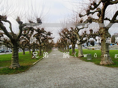 網(wǎng)貸逾期有沒有被搞成老賴的兄弟-網(wǎng)貸逾期會(huì)上老賴名單嗎?