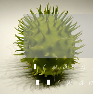 網(wǎng)貸逾期有沒有被起訴怎么查詢(網(wǎng)貸逾期起訴信息在哪里查)