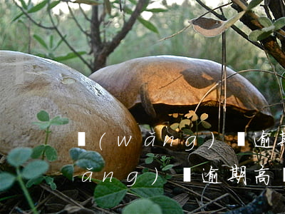 網(wǎng)貸逾期有罰息怎么辦(網(wǎng)貸逾期高額罰息合法嗎)