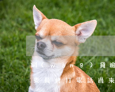 網(wǎng)貸逾期有調(diào)解委員會打電話過來-網(wǎng)貸逾期有調(diào)解委員會打電話過來是真的嗎