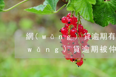 網(wǎng)貸逾期有調解委員會嗎(網(wǎng)貸逾期被仲裁機構立案了怎么處理)
