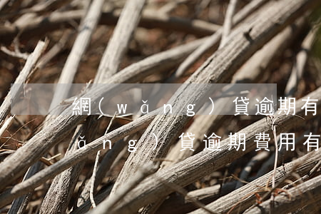 網(wǎng)貸逾期有金額標準嗎(網(wǎng)貸逾期費用有上限嗎)
