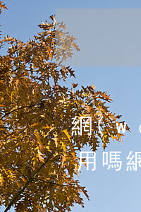 網(wǎng)貸逾期有額外費(fèi)用嗎(網(wǎng)貸逾期的費(fèi)用這么高怎么辦)