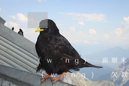 網(wǎng)貸逾期未歸還會被起訴嗎-網(wǎng)貸欠款逾期被起訴后果