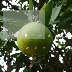 網(wǎng)貸逾期未還對方未起訴(網(wǎng)貸逾期了被起訴了還是沒錢還怎么辦)