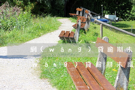 網(wǎng)貸逾期未還想首付買車(網(wǎng)貸逾期未還可以貸款買車嗎)