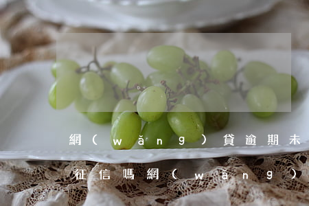 網(wǎng)貸逾期未還會(huì)上征信嗎（網(wǎng)貸逾期未還會(huì)立案嗎）