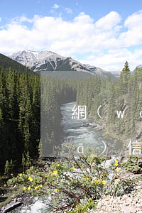 網(wǎng)貸逾期未還給我朋友發(fā)信息起訴-網(wǎng)貸逾期未還給我朋友發(fā)信息起訴有用嗎