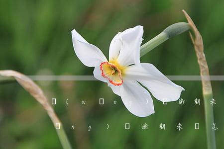 網(wǎng)貸逾期未還能貸款么(網(wǎng)貸逾期未還怎么辦)