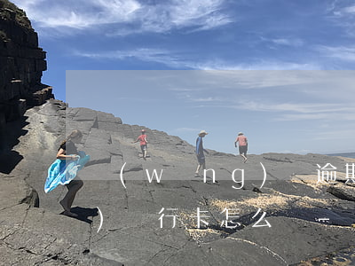 網(wǎng)貸逾期未還被凍結(jié)銀行卡怎么辦-網(wǎng)貸逾期未還被凍結(jié)銀行卡怎么辦理