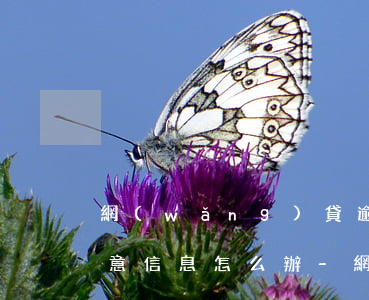 網(wǎng)貸逾期未還被發(fā)惡意信息怎么辦-網(wǎng)貸逾期未還被發(fā)惡意信息怎么辦呢