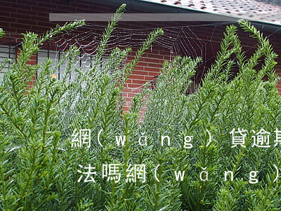 網(wǎng)貸逾期未還騷擾我的家人違法嗎?(網(wǎng)貸逾期了打電話給家里人犯法嗎)