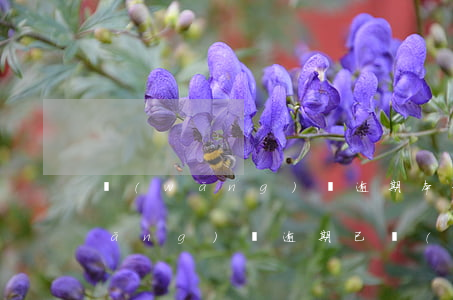 網(wǎng)貸逾期本金還欠兩千(網(wǎng)貸逾期已經(jīng)還清了)