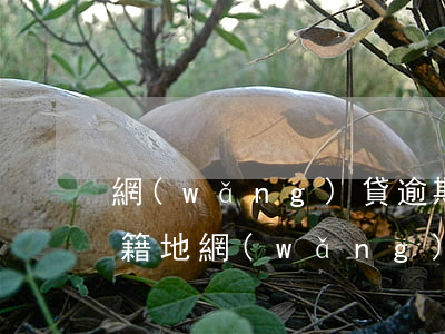 網(wǎng)貸逾期材料發(fā)送戶籍地(網(wǎng)貸逾期通知村委會了叫我回戶籍所在地)