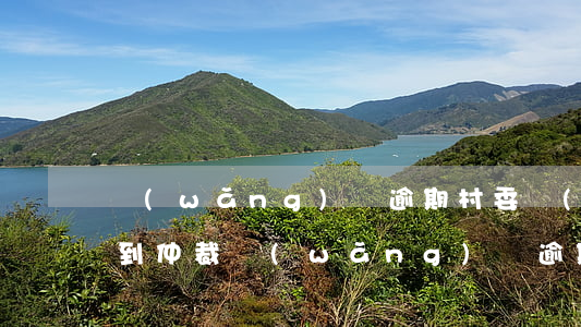 網(wǎng)貸逾期村委會(huì)接到仲裁(網(wǎng)貸逾期會(huì)打電話到村委會(huì)嗎)