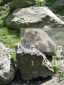 網(wǎng)貸逾期村委會會協(xié)助嗎(網(wǎng)貸逾期催收聯(lián)系村委會違法嗎)