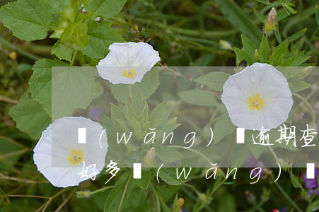網(wǎng)貸逾期查征信沒問題(征信上好多網(wǎng)貸記錄,但沒逾期)