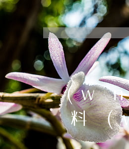 網(wǎng)貸逾期核實(shí)借款資料(網(wǎng)貸逾期資產(chǎn)核查是什么部門)