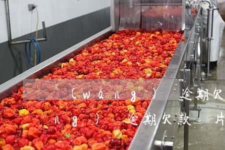 網(wǎng)貸逾期欠3000(網(wǎng)貸逾期欠款圖片)