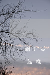 網(wǎng)貸逾期欠了2600不還會怎樣-網(wǎng)貸逾期欠了2600不還會怎樣處理