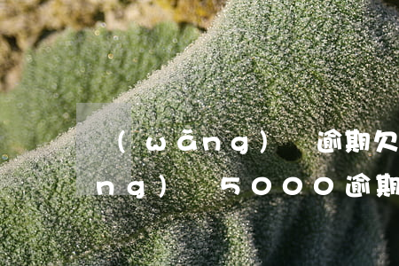 網(wǎng)貸逾期欠了5萬(欠網(wǎng)貸5000逾期五年還多少)