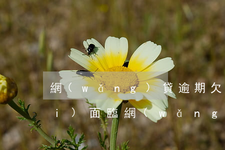 網(wǎng)貸逾期欠債人的心態(tài)(面臨網(wǎng)貸逾期怎么辦)