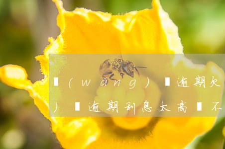 網(wǎng)貸逾期欠利息(網(wǎng)貸逾期利息太高該不該還)