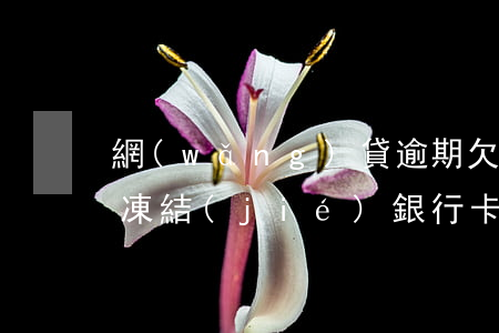 網(wǎng)貸逾期欠多少會(huì)凍結(jié)銀行卡(欠網(wǎng)貸逾期會(huì)凍結(jié)銀行卡嗎)
