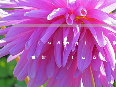 網(wǎng)貸逾期欠多少會(huì)被起訴(網(wǎng)貸逾期欠多少會(huì)被起訴)