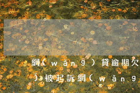 網(wǎng)貸逾期欠多少錢會(huì)被起訴（網(wǎng)貸逾期多久多少錢會(huì)被起訴）