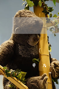 網(wǎng)貸逾期欠款多少被起訴的幾率大(網(wǎng)貸逾期起訴幾率大嗎)
