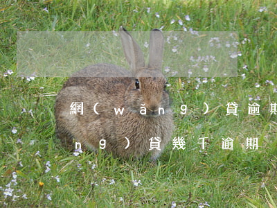 網(wǎng)貸逾期欠款幾十萬(網(wǎng)貸幾千逾期)