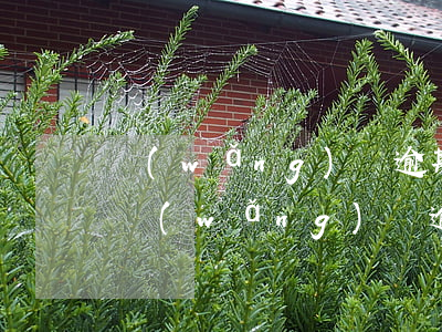 網(wǎng)貸逾期欠款影響辦信用卡嗎(網(wǎng)貸逾期欠款影響辦信用卡嗎)