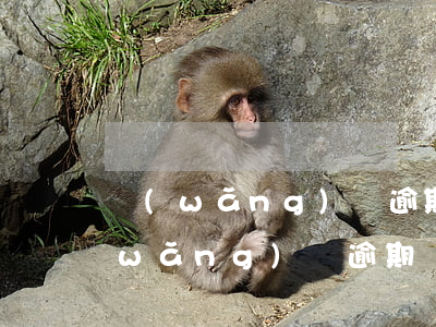網(wǎng)貸逾期款怎樣還才安全(網(wǎng)貸逾期應該怎么辦)