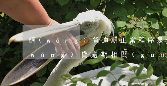 網(wǎng)貸逾期正常程序是什么(網(wǎng)貸逾期相關(guān)法律知識)