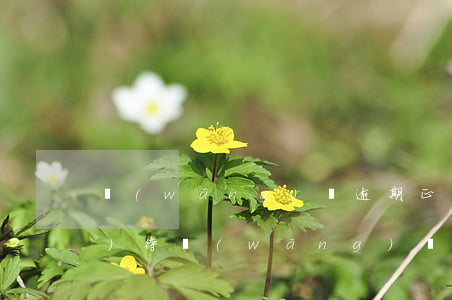 網(wǎng)貸逾期正確怎么對(duì)待(網(wǎng)貸逾期相關(guān)法律知識(shí))