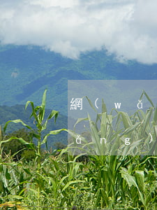 網(wǎng)貸逾期正確處理方式(網(wǎng)貸逾期處理方法)