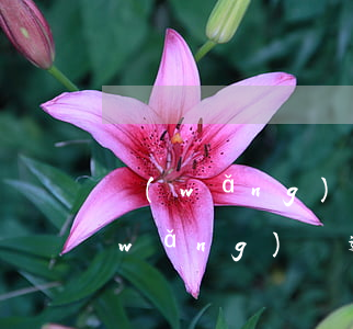 網(wǎng)貸逾期歸還本金行不行(網(wǎng)貸逾期只還本金行嗎)