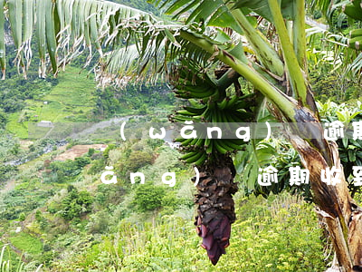 網(wǎng)貸逾期每天收到短信(網(wǎng)貸逾期收到的短信)
