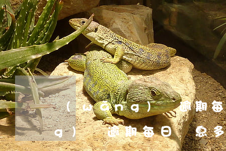 網(wǎng)貸逾期每日罰息(網(wǎng)貸逾期每日罰息多少)