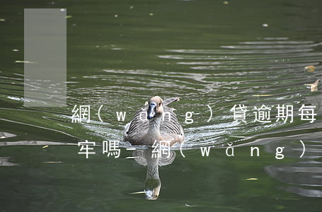 網(wǎng)貸逾期每月還一部分還會坐牢嗎-網(wǎng)貸逾期每個(gè)月還一部分,會被起訴嗎?