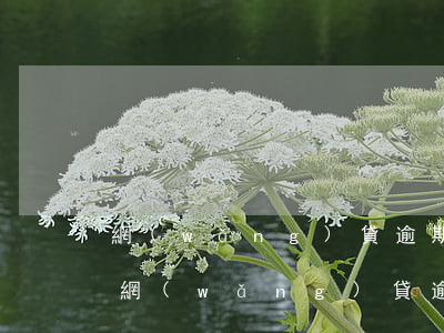 網(wǎng)貸逾期求助家人會幫嗎(親屬網(wǎng)貸逾期留我電話有影響嗎)