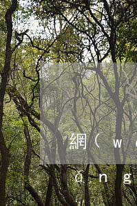 網(wǎng)貸逾期污點怎么消除(網(wǎng)貸逾期咋辦)