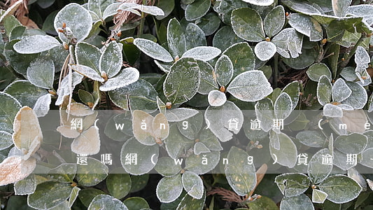網(wǎng)貸逾期沒(méi)到期要還嗎(網(wǎng)貸逾期一直不還最終后果會(huì)怎樣)