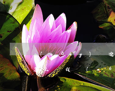 網(wǎng)貸逾期沒(méi)有錢還怎么樣(我沒(méi)逾期過(guò)為什么我貸不到網(wǎng)貸)