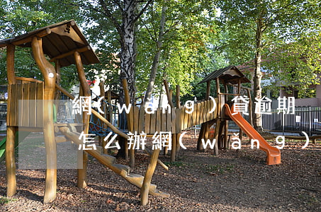 網(wǎng)貸逾期沒(méi)有錢還怎么辦(網(wǎng)貸沒(méi)錢還咋辦)