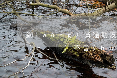 網(wǎng)貸逾期沒(méi)還款會(huì)不會(huì)影響下一代-網(wǎng)貸逾期沒(méi)還款會(huì)不會(huì)影響下一代征信